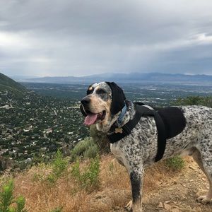 Meet your Posher, Yuri